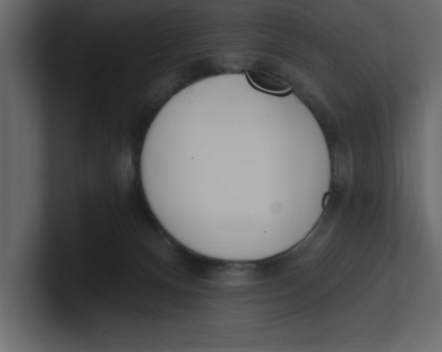 X0000100960128200807151406