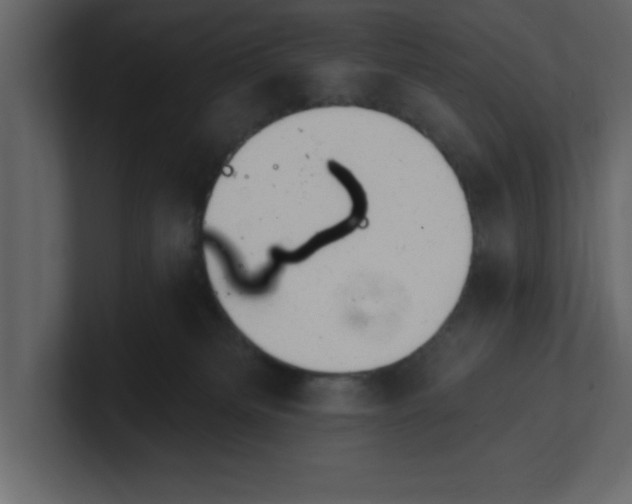 X0000100960133200807151406