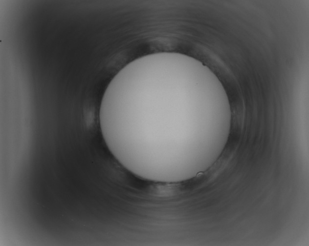 X0000100960134200807151406