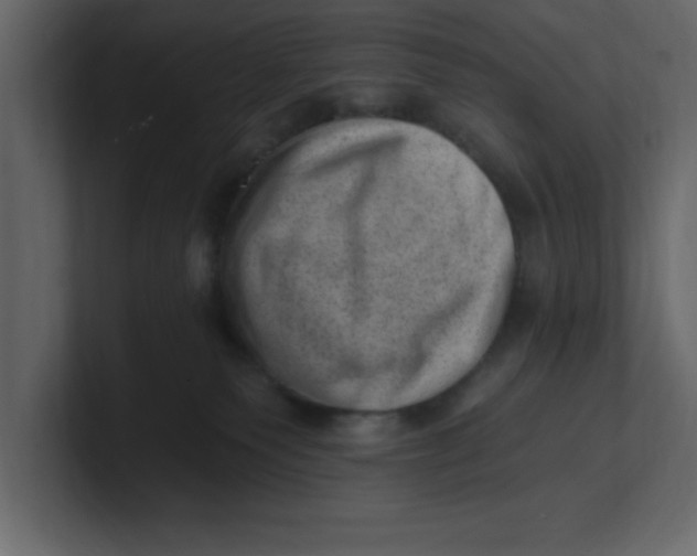 X0000100960135200807151406