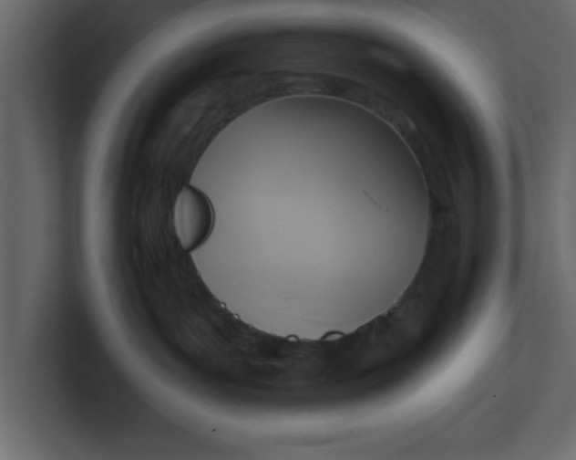 X0000100960143200807151406