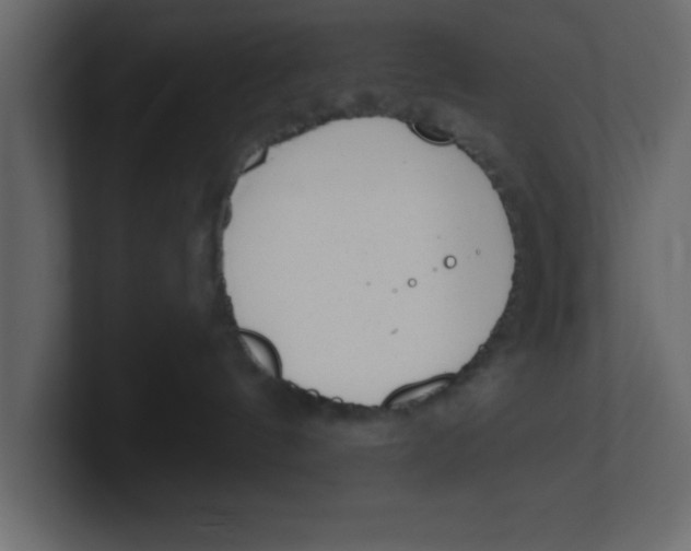 X0000100960144200807151406