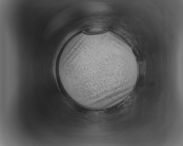 X0000100960147200807151406