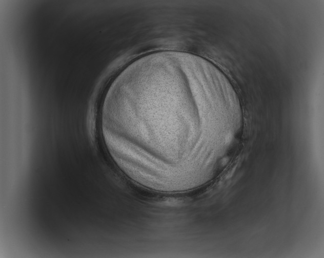 X0000100960149200807151406