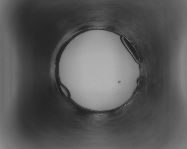 X0000100960150200807151406