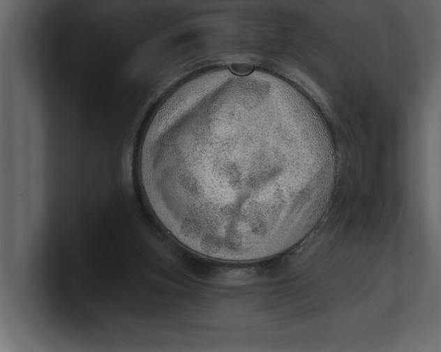 X0000100960155200807151406