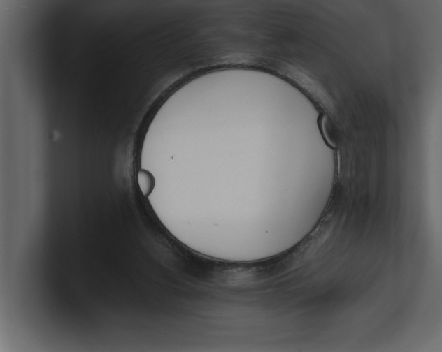 X0000100960156200807151406