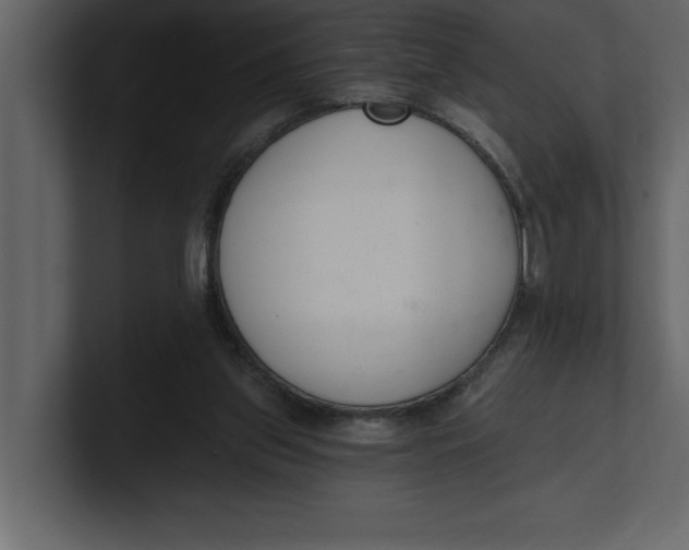 X0000100960157200807151406