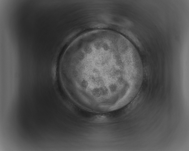 X0000100960159200807151406