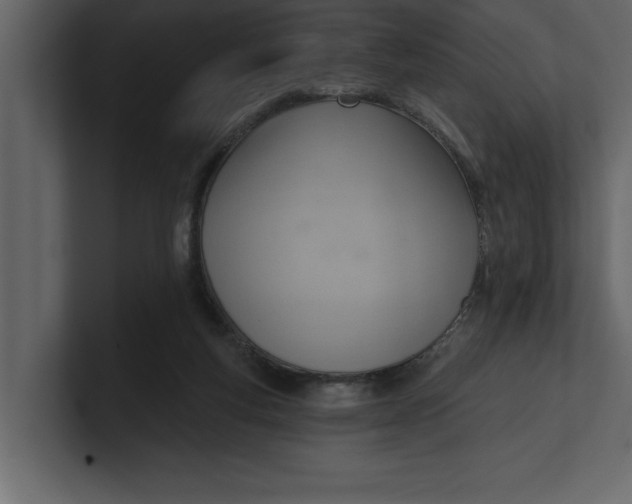 X0000100960163200807151406