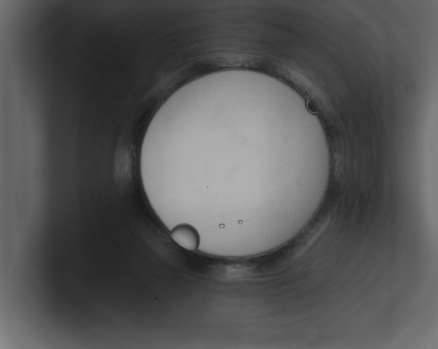 X0000100960165200807151406