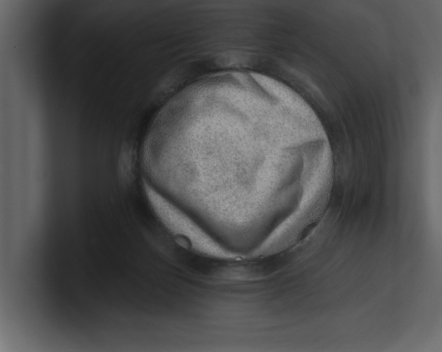 X0000100960171200807151406