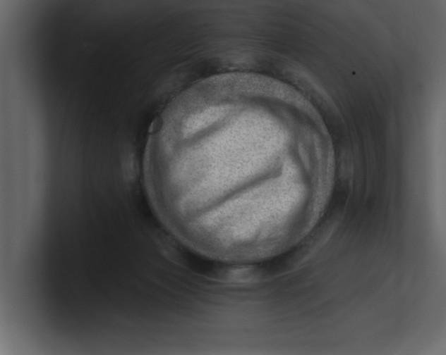 X0000100960173200807151406