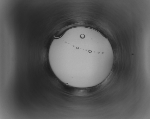 X0000100960174200807151406