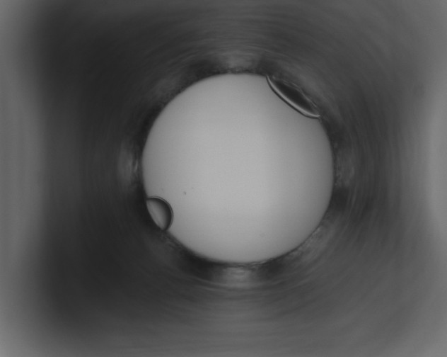 X0000100960176200807151406