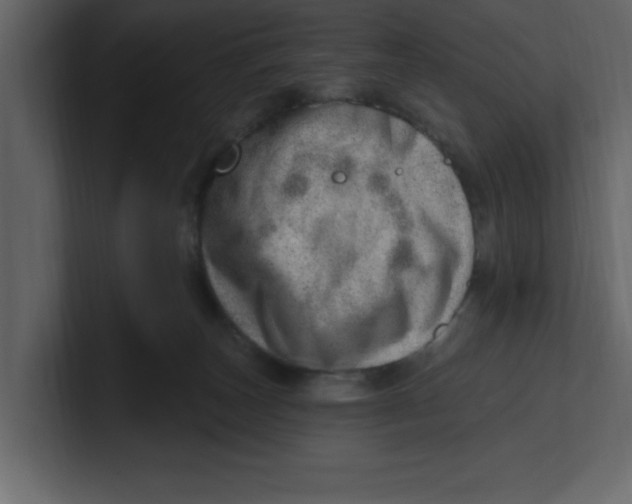 X0000100960179200807151406