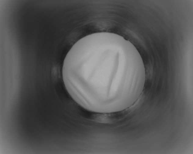 X0000100960182200807151406