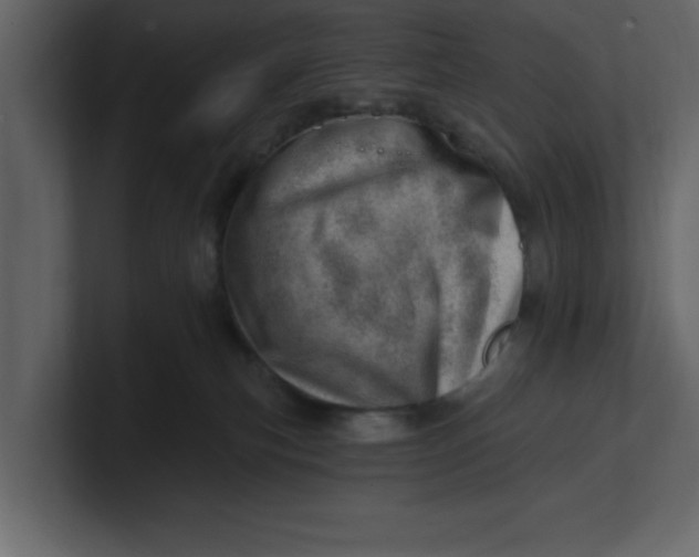 X0000100960183200807151406