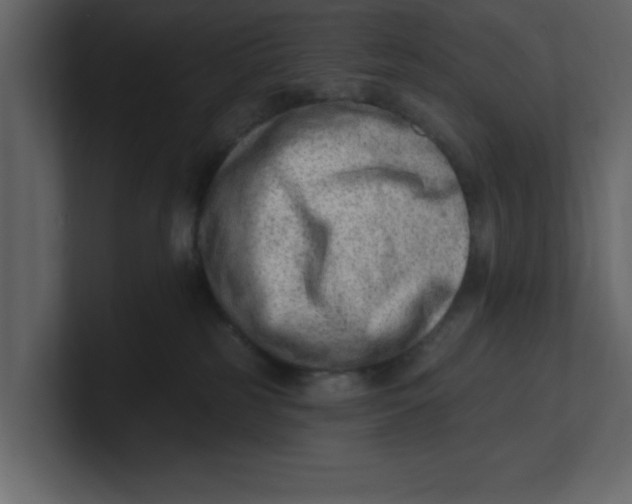 X0000100960185200807151406