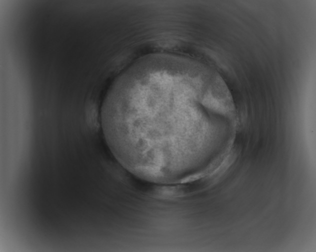 X0000100960187200807151406