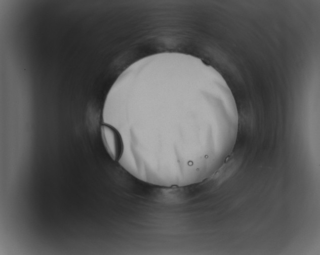 X0000100960188200807151406