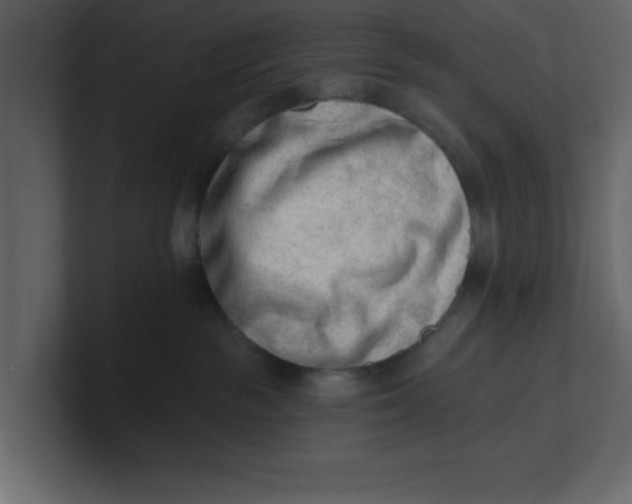 X0000100960189200807151406