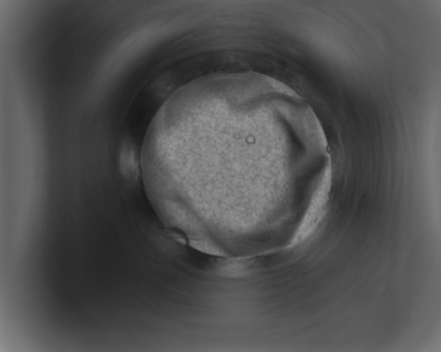 X0000100960191200807151406