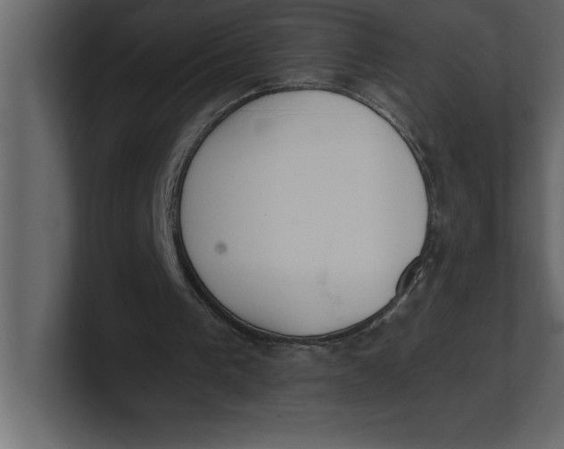 X0000100960193200807151406