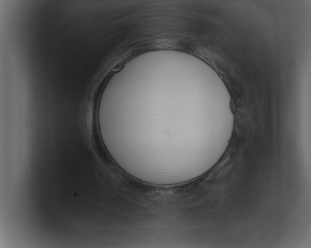 X0000100960194200807151406