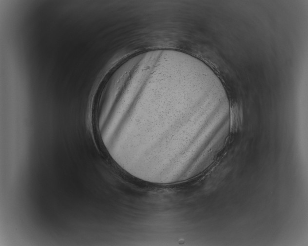 X0000100960195200807151406