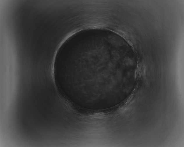 X0000100960196200807151405