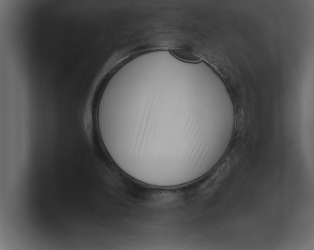 X0000100960198200807151405