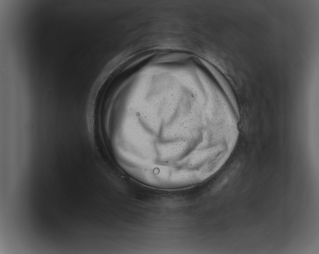 X0000100960199200807151405