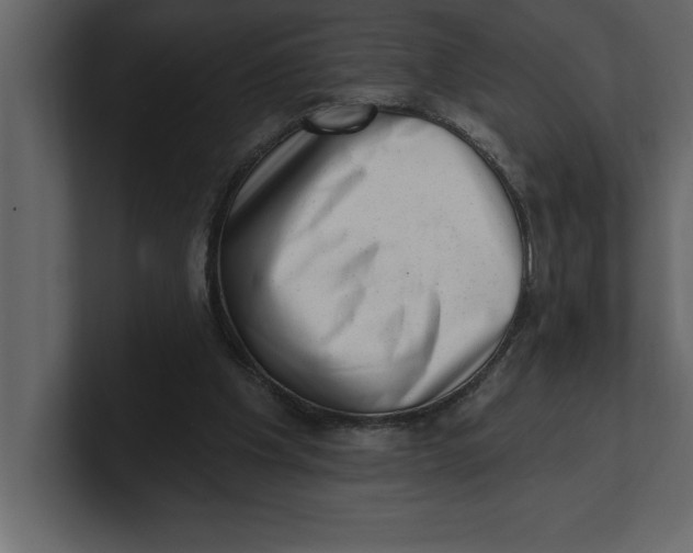 X0000100960201200807151405