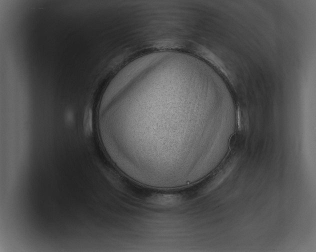 X0000100960205200807151405