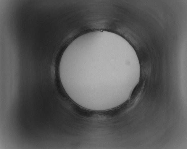 X0000100960207200807151405