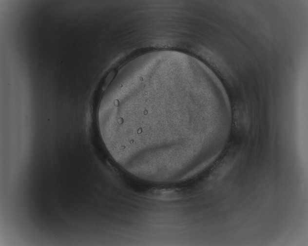 X0000100960208200807151405