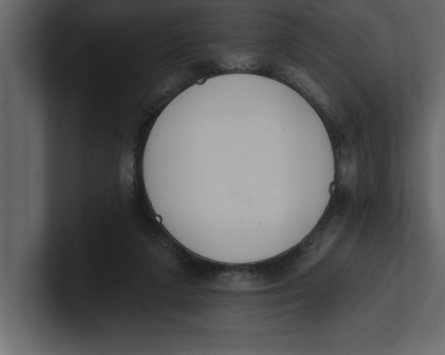 X0000100960211200807151405