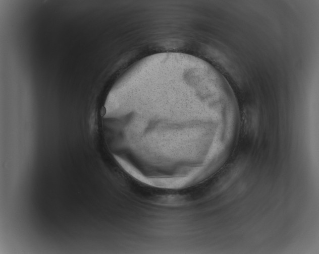 X0000100960212200807151405