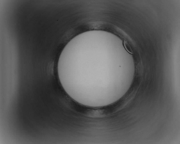 X0000100960217200807151405