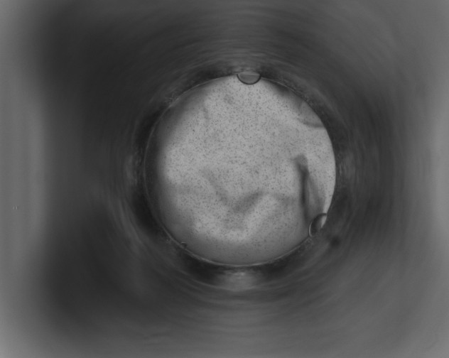 X0000100960218200807151405