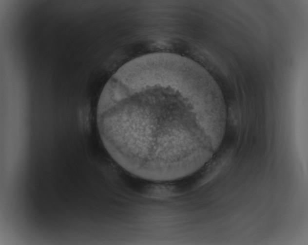 X0000100960223200807151405