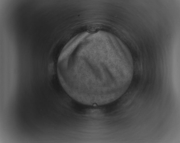 X0000100960224200807151405