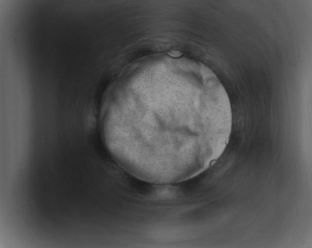 X0000100960226200807151405