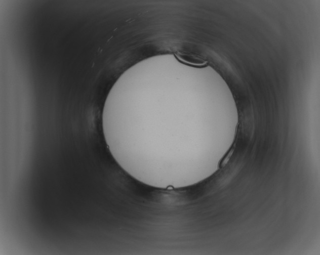 X0000100960229200807151405