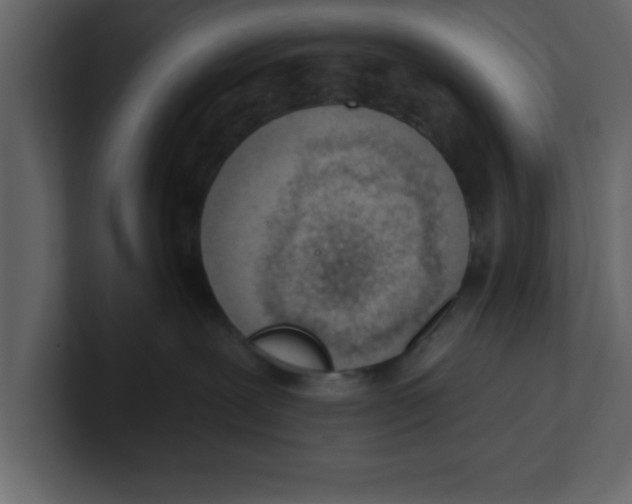 X0000100960239200807151405