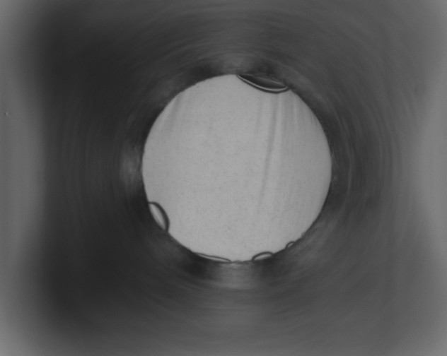 X0000100960240200807151405