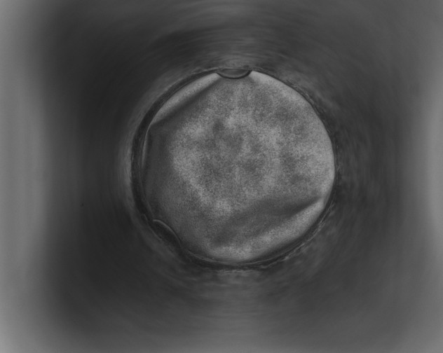 X0000100960242200807151404