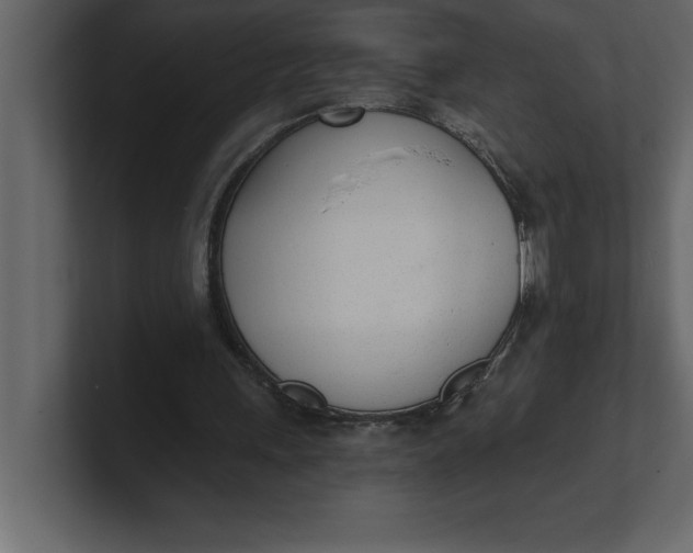 X0000100960243200807151404