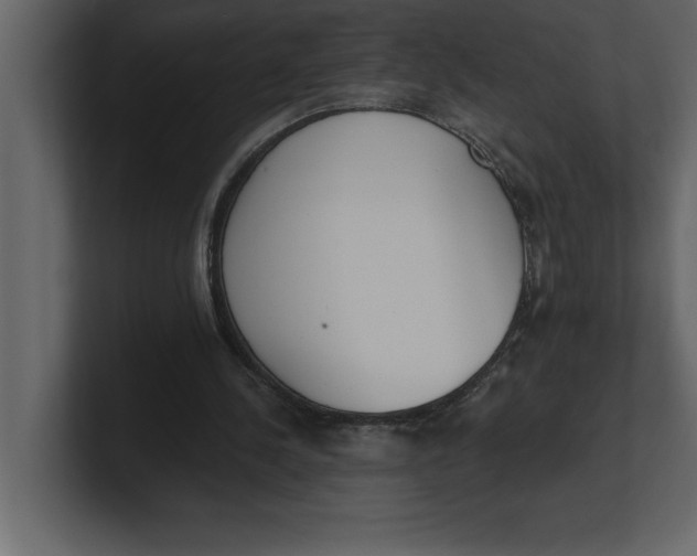 X0000100960244200807151404